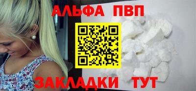 молекула духа Кингисепп