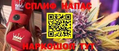 молекула духа Кингисепп