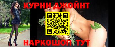 молекула духа Кингисепп