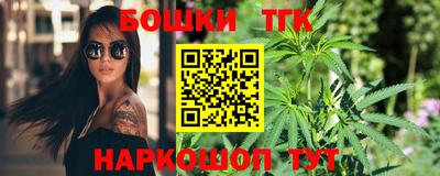 молекула духа Кингисепп