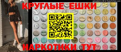 молекула духа Кингисепп