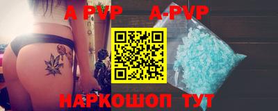 молекула духа Кингисепп
