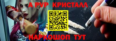 молекула духа Кингисепп