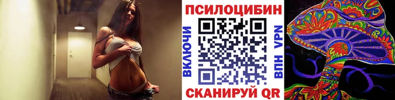 Псилоцибиновые грибы Psilocybine cubensis  площадка клад  Уварово  мега онион 